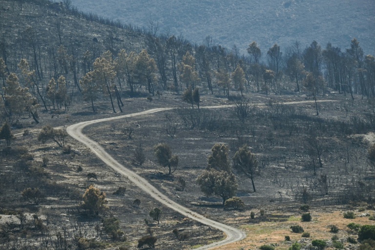 Des incendies toujours plus coûteux pour les collectivités
