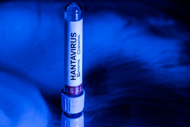 Hantavirus : un touriste ayant transité en France testé positif, aujourd'hui isolé en Espagne (gouvernement français)