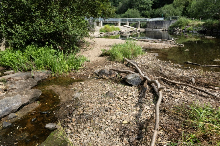 Dans les rivières à sec du Finistère, la bataille pour sauver les poissons