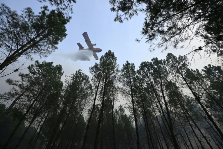 Incendie dans les Landes: les moyens se concentrent sur la reprise de feu nocturne