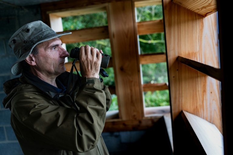 Dans les marais d'Harchies, conflit de voisinage franco-belge autour de la chasse au gibier d'eau