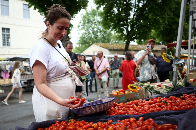 Enceinte et en campagne, Marine Tondelier expose sa conception