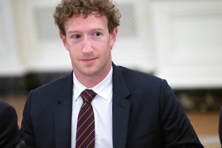 Le patron de Meta Mark Zuckerberg s'offre un château en Irlande