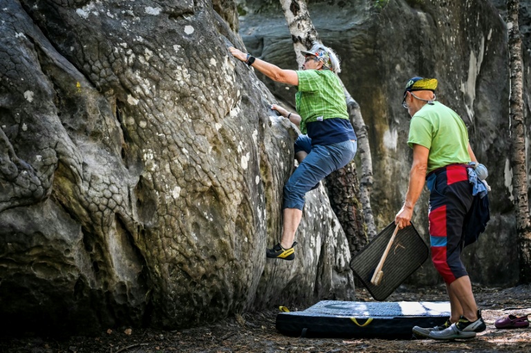 La forêt de Fontainebleau rouvre, les grimpeurs renouent avec leurs 