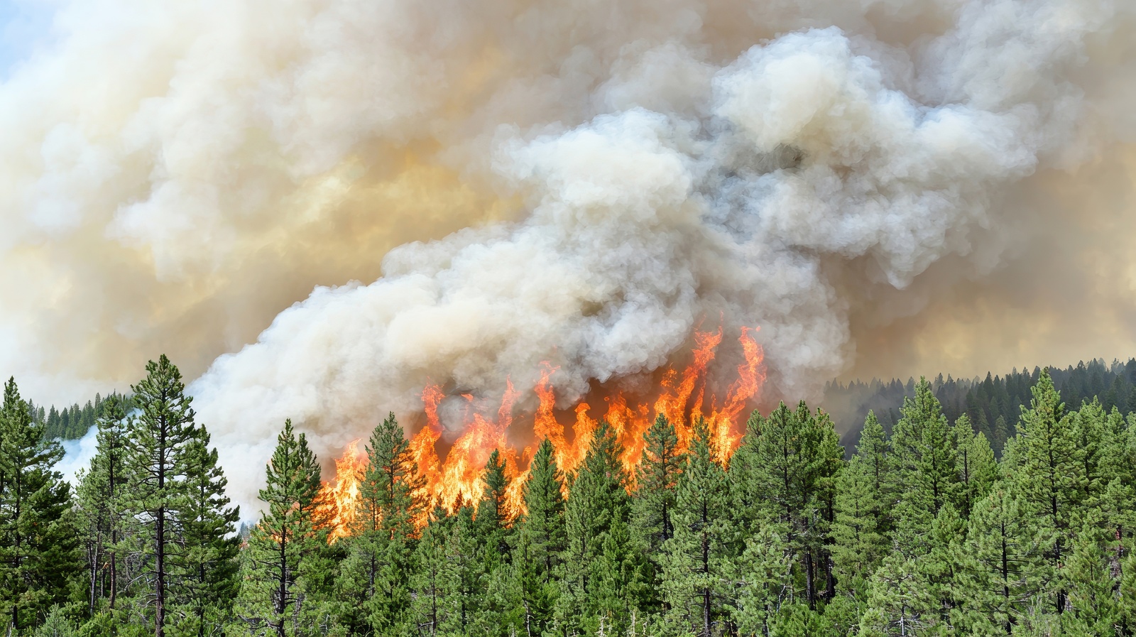 Meuse : les fumées des incendies imposent des restrictions dès ce mardi