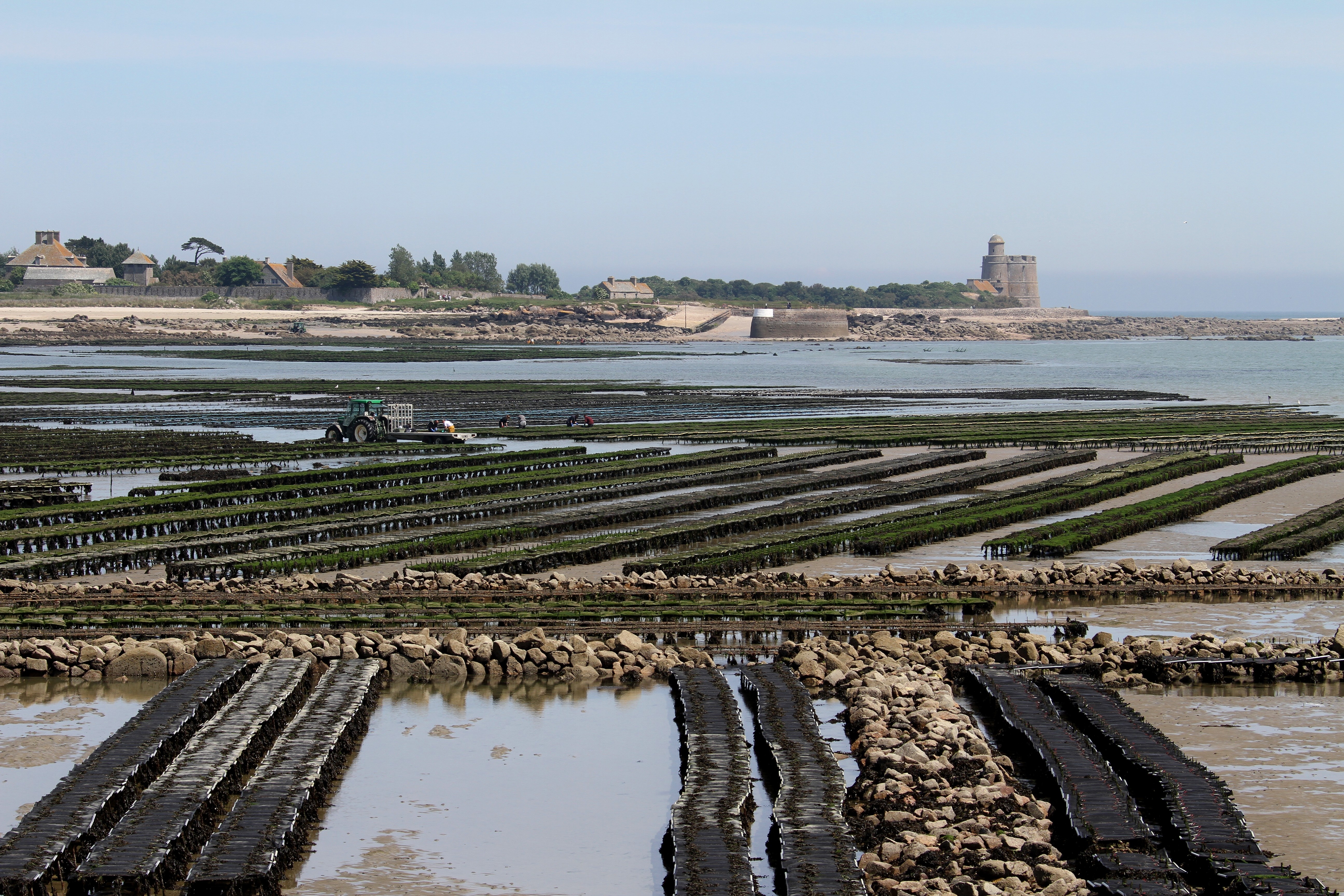 La Normandie, une terre de coquillages