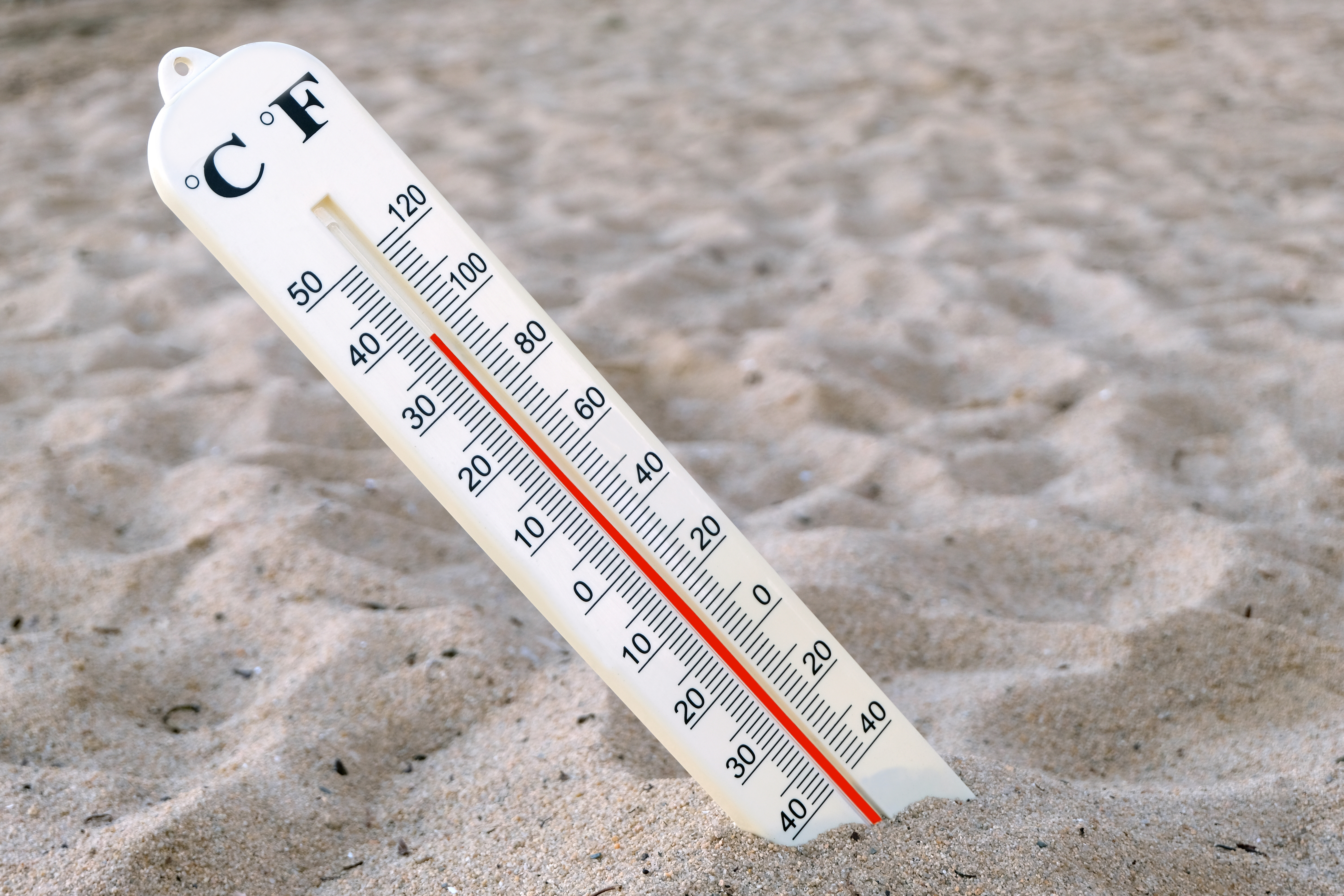 La Saône-et-Loire active le plan ORSEC face à la canicule