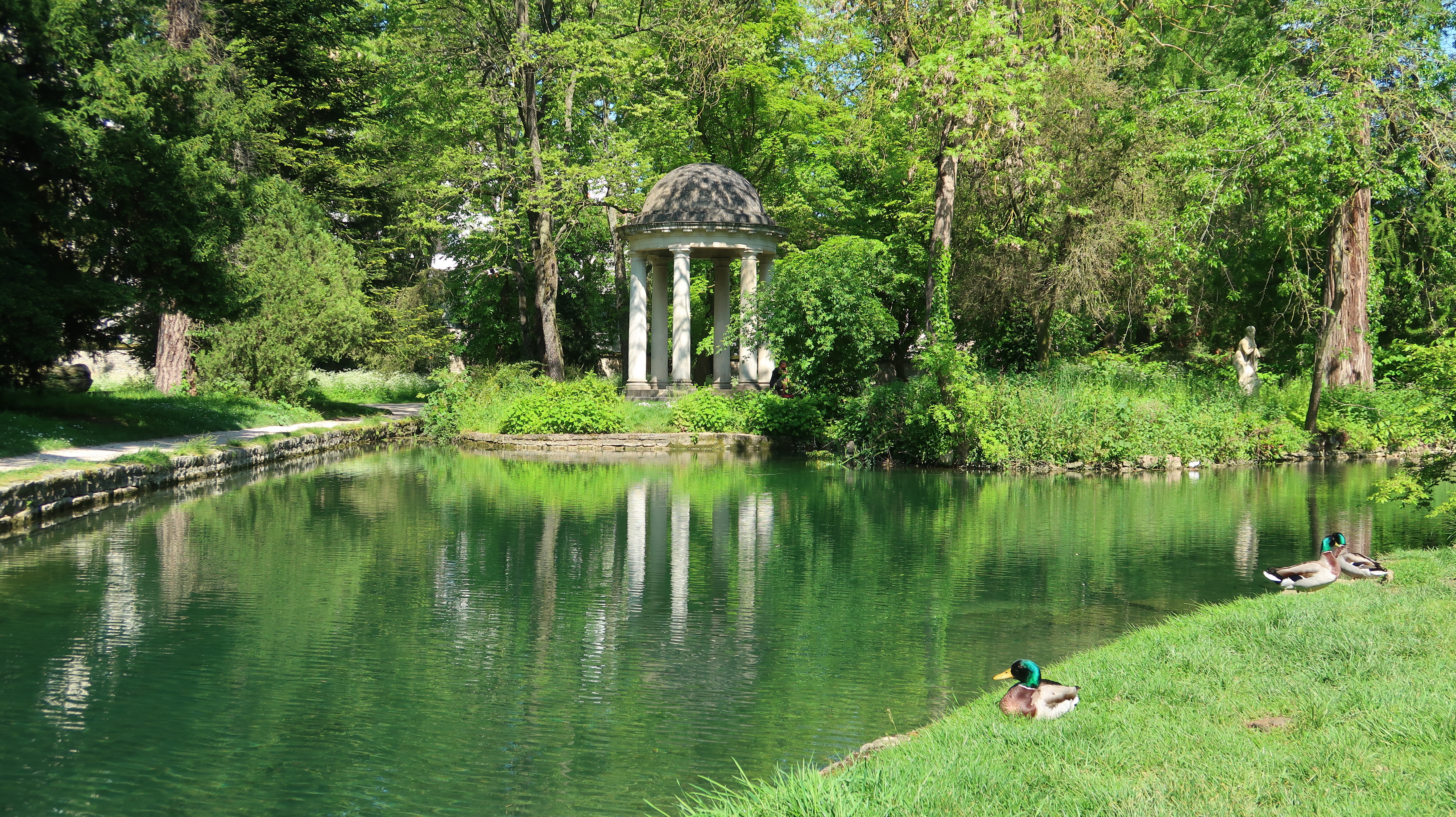 À Dijon, le Jardin de l’Arquebuse plonge les visiteurs au cœur du monde des arbres