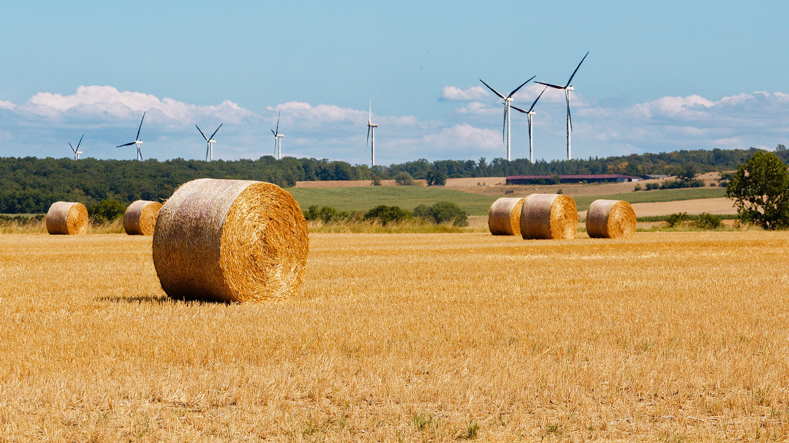 Sécheresse : la Chambre d’agriculture de la Moselle lance une bourse d’échange de fourrages