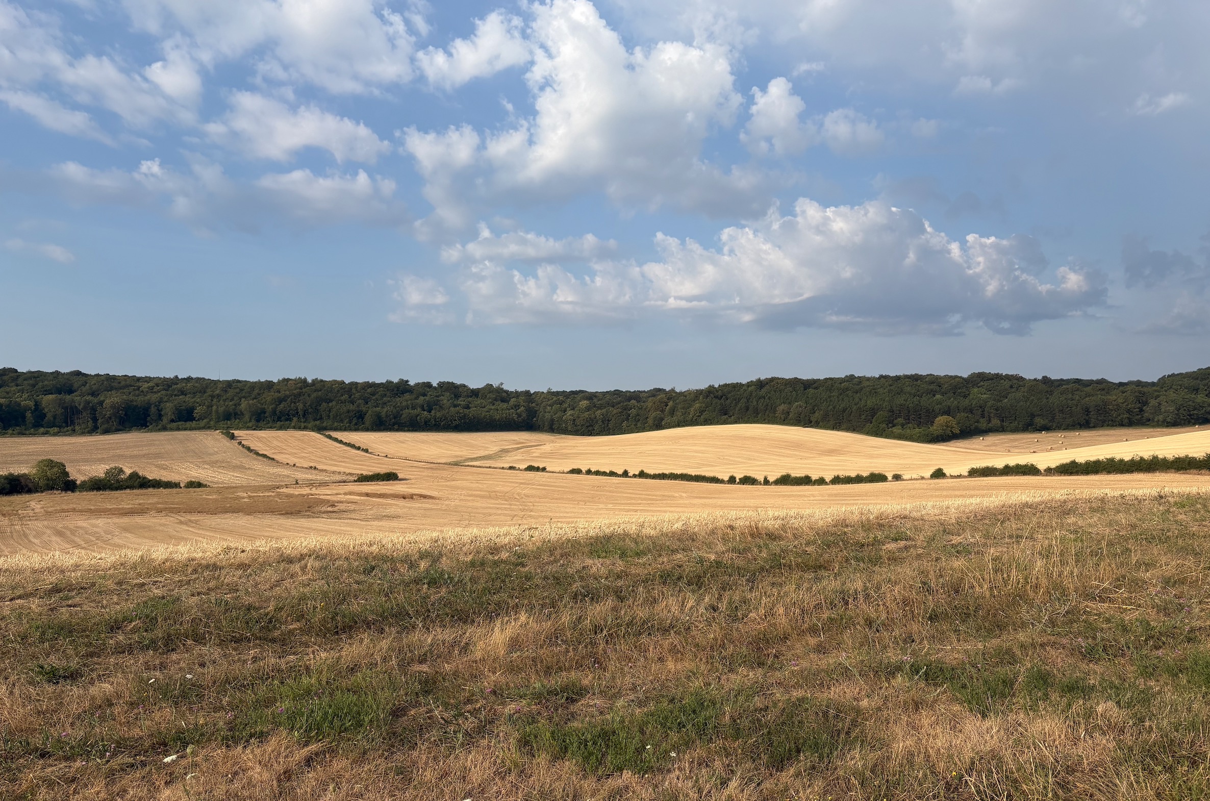 Opération biodiversité préservée dans le parc naturel régional de Lorraine
