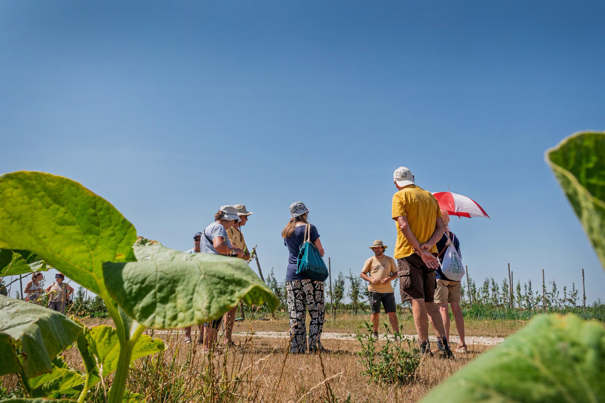 À la rencontre des producteurs du sud-ouest de la Somme