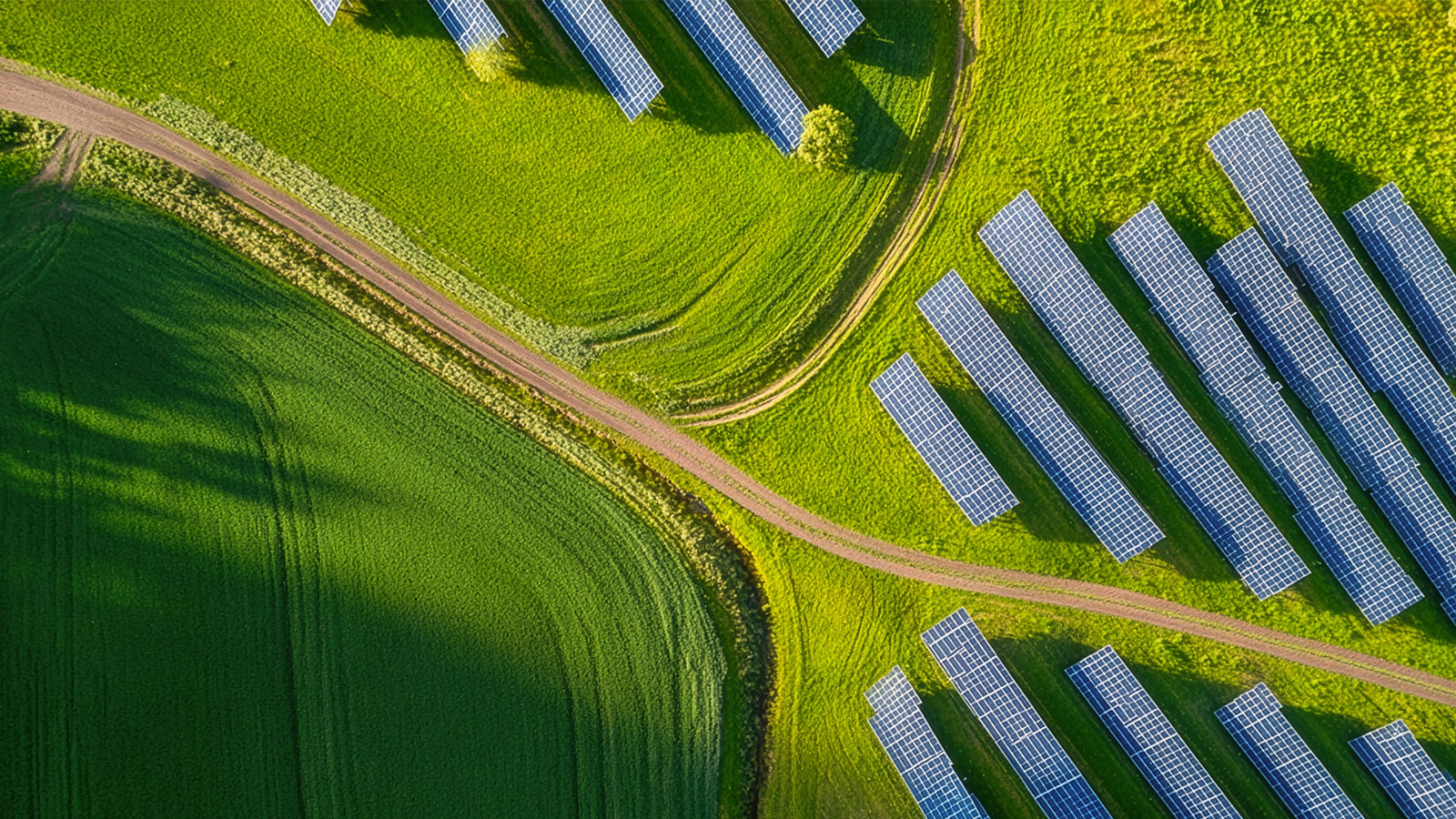 Schœneck : une enquête publique s’ouvre pour le projet de centrale photovoltaïque