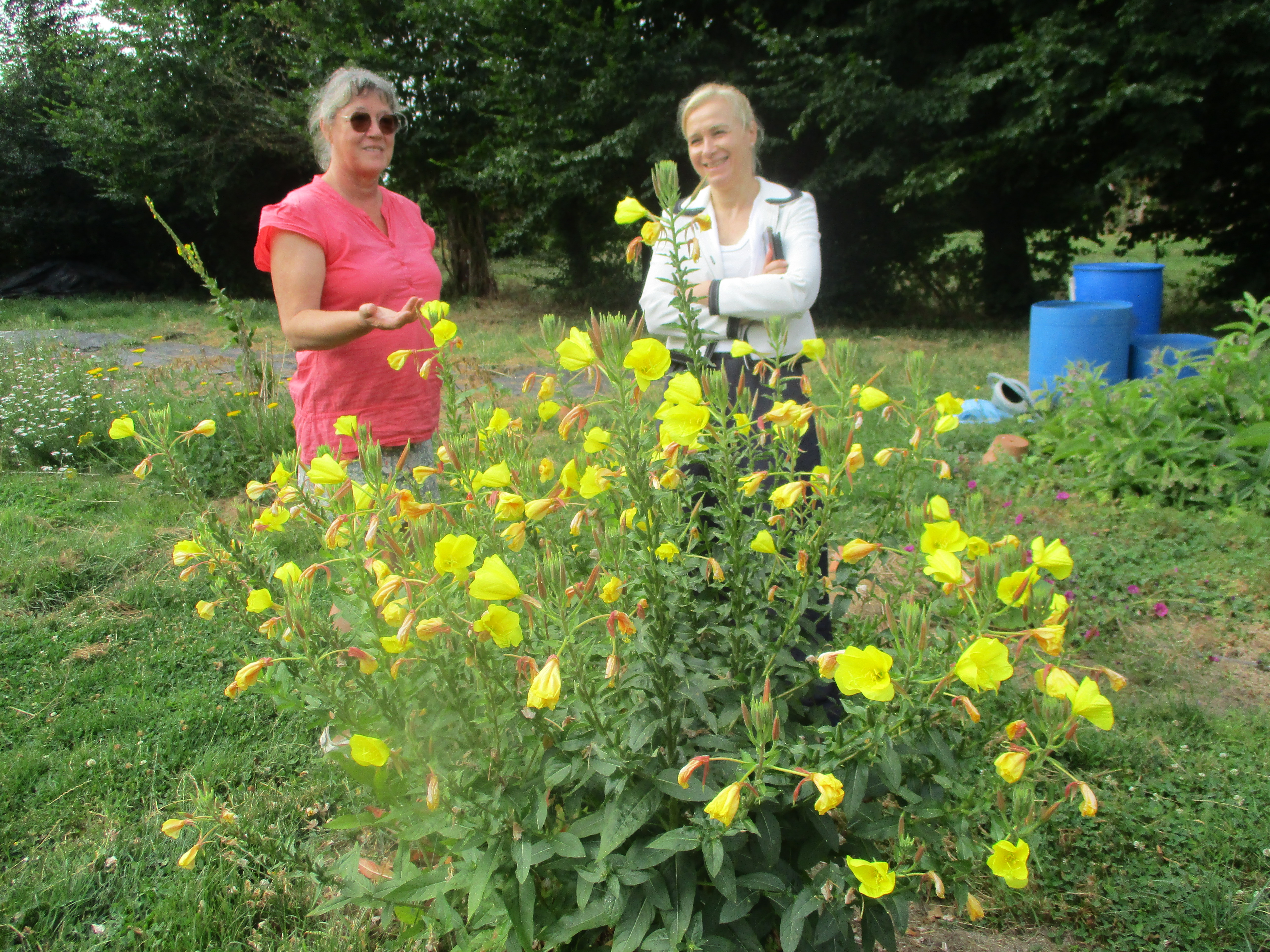 Les ateliers de l’été au Jardin Roy en Thiérache invitent à se reconnecter à la nature