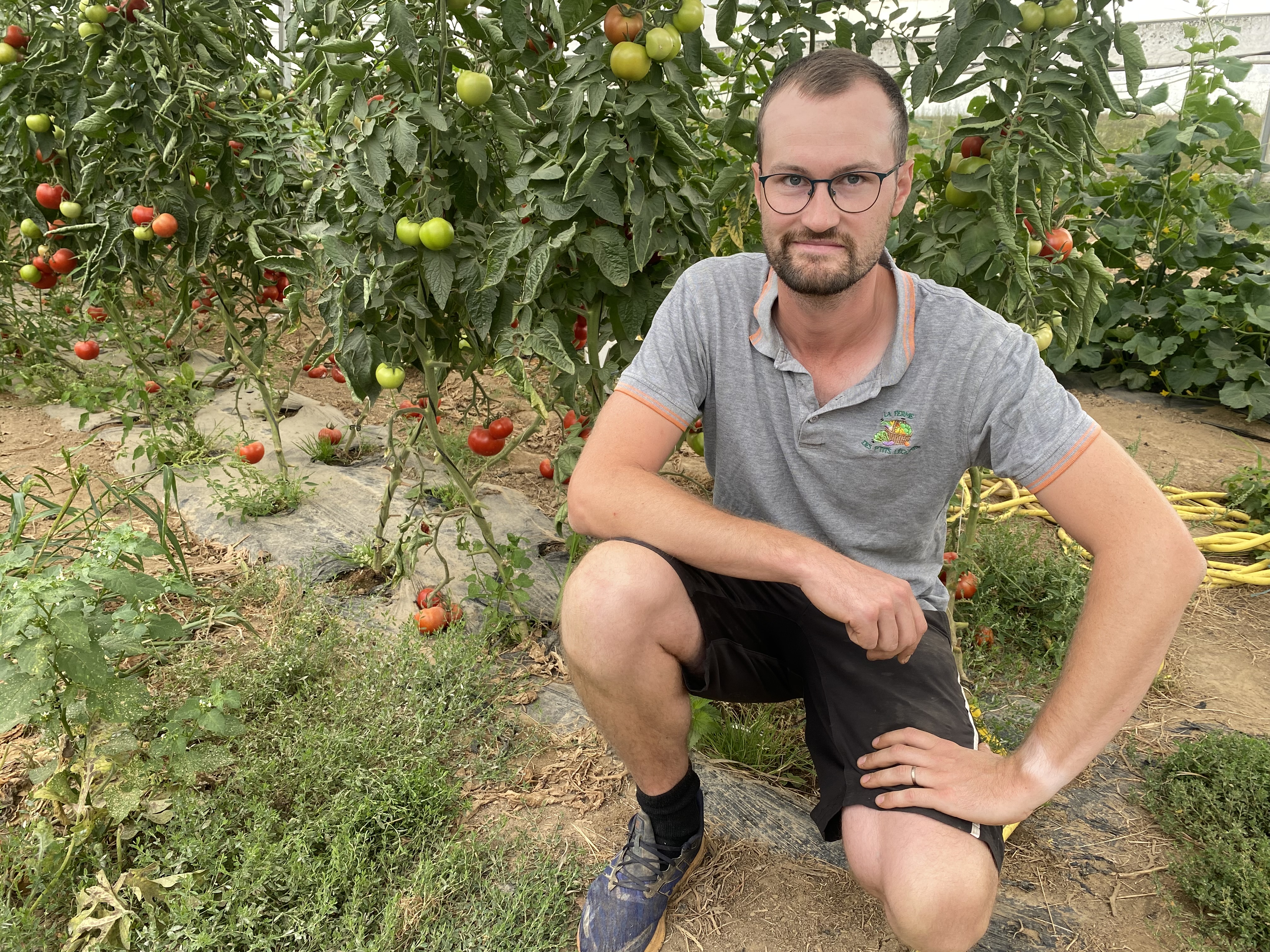Croixrault : La ferme des P’tits légumes a souffert de la canicule
