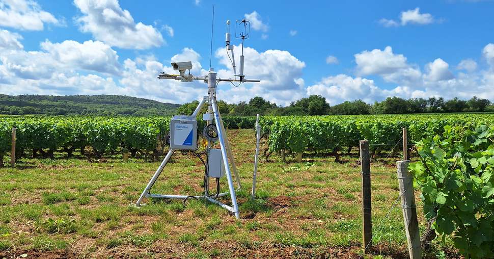 À Rully, une tour mesure depuis 2 ans l’impact du climat sur la vigne