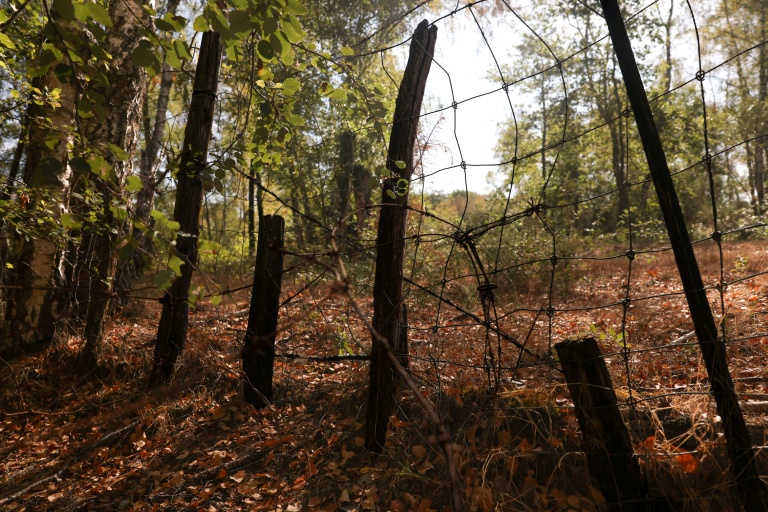 La Sologne, forêt abîmée par les grillages et les chasses privées