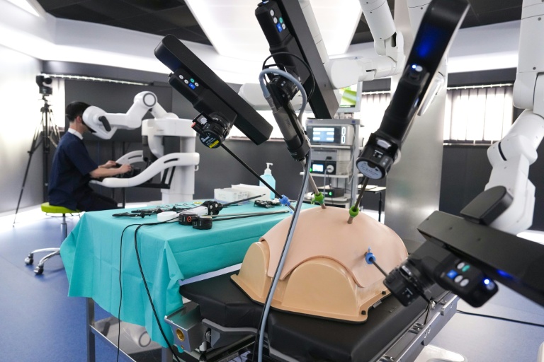 A Strasbourg, un centre d'innovation japonais va créer des robots médicaux