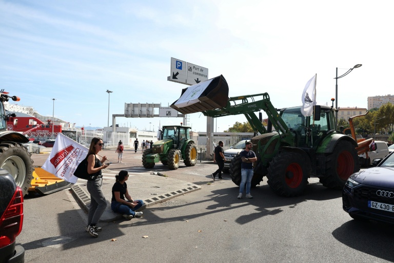 Sécheresse: des agriculteurs en colère bloquent les ports de Bastia et Ajaccio
