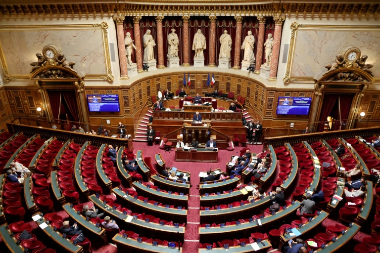 Sénatoriales: journée décisive pour le RN, en quête d'un groupe au Sénat
