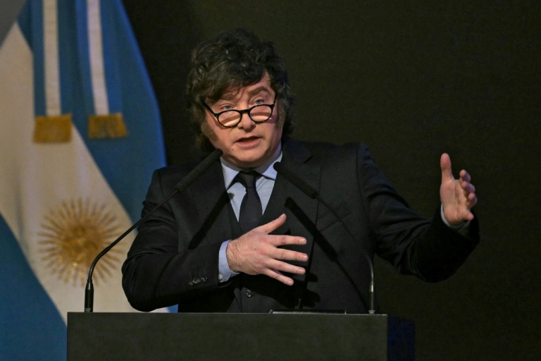 Milei en France en promoteur d'une Argentine ouverte aux affaires, mais qui patine