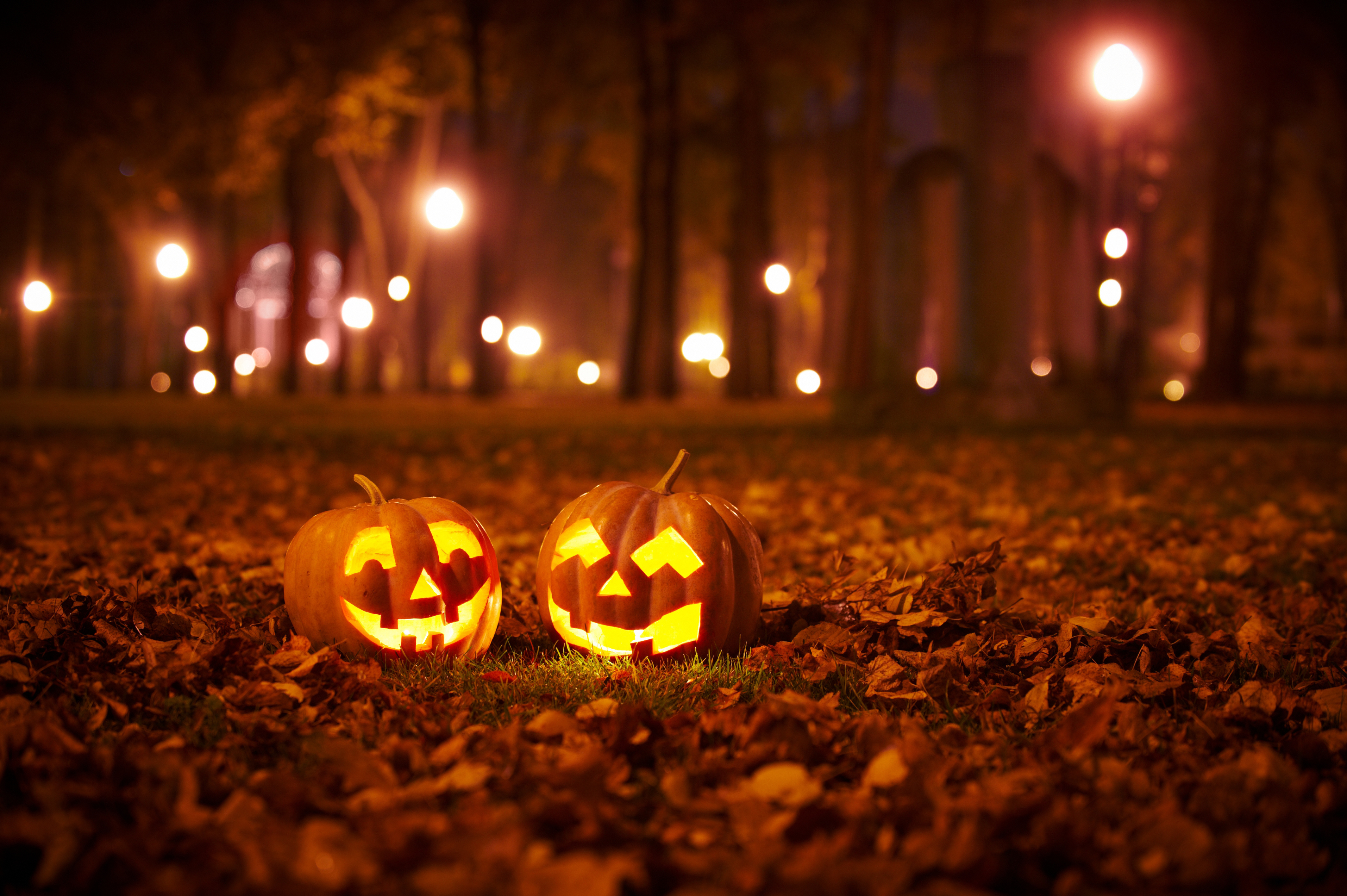 Amiens recense les animations et décorations prévues pour Halloween