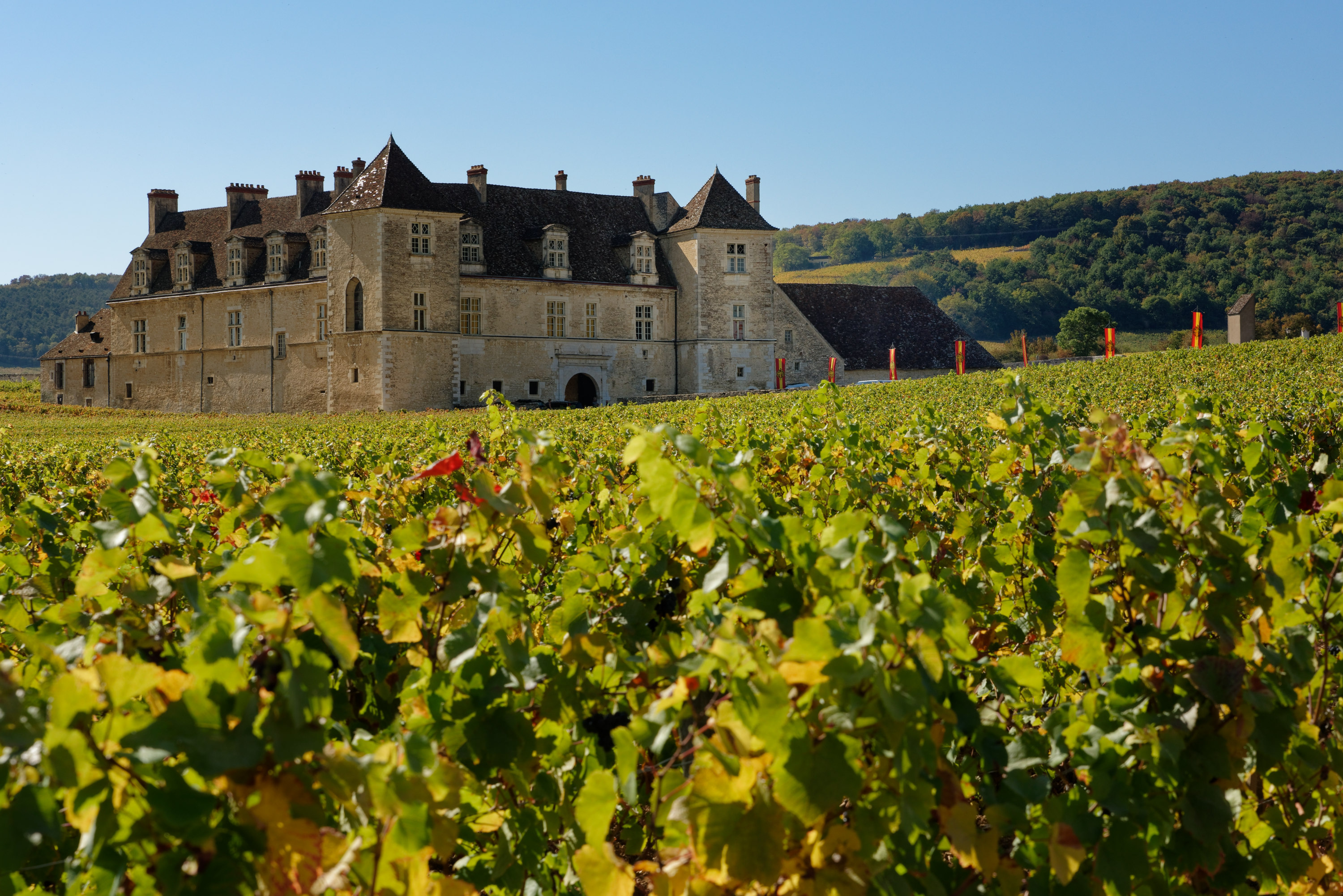 Tastevinage : 122 vins distingués lors de la 118e édition