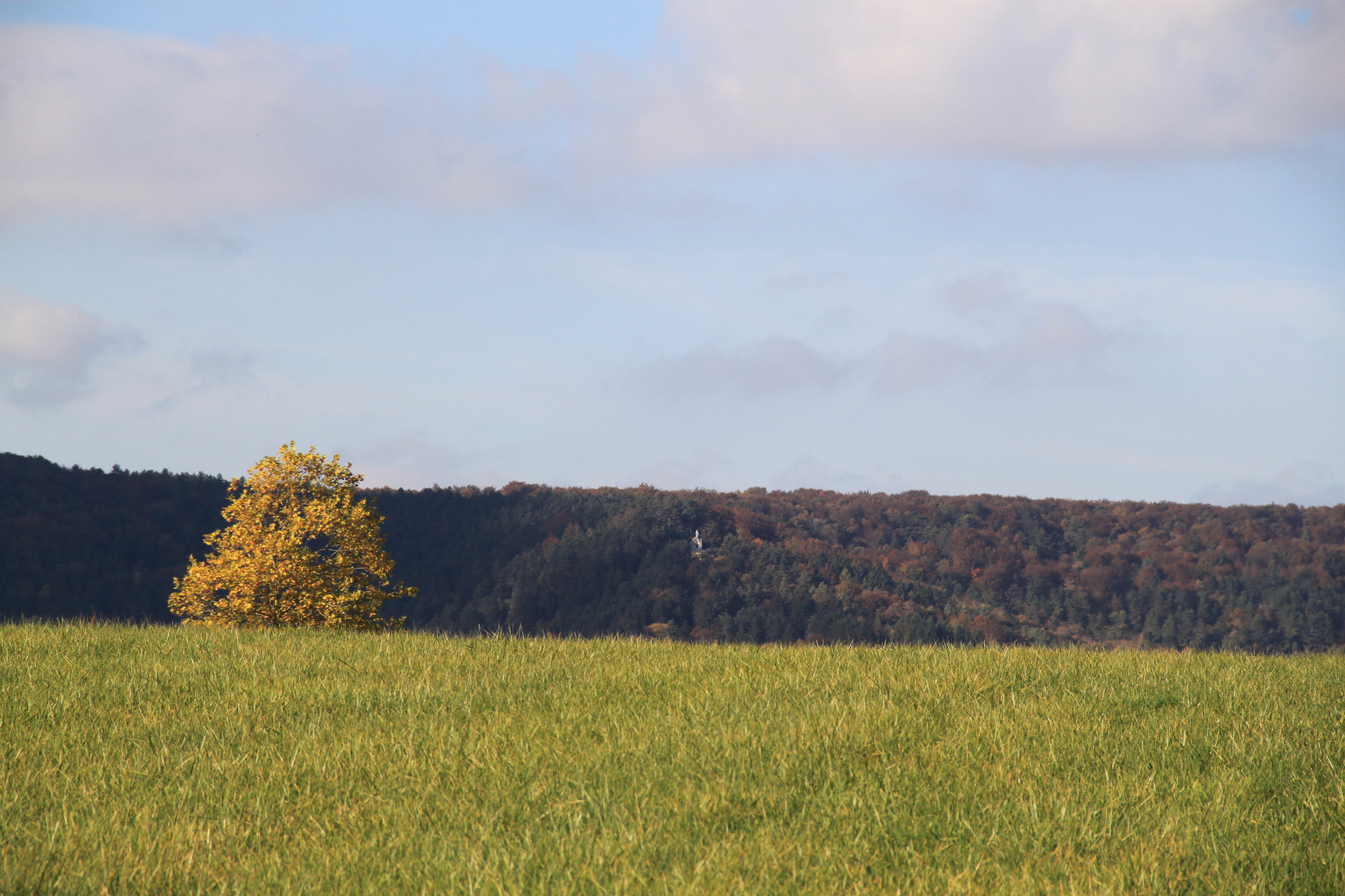 Des aides pour les projets agroécologiques en Meuse