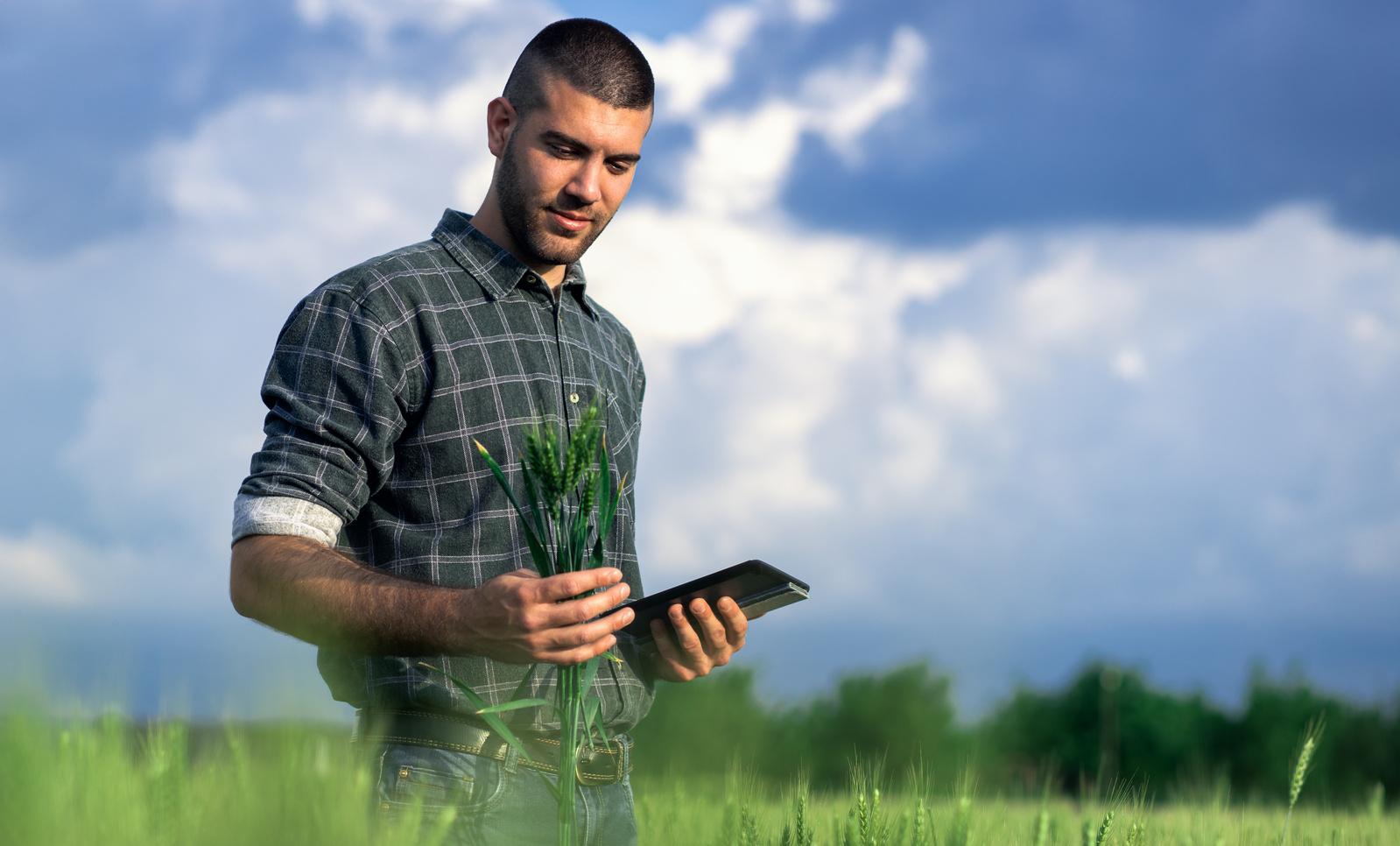 Meuse : une plateforme pour faciliter la transmission des exploitations agricoles