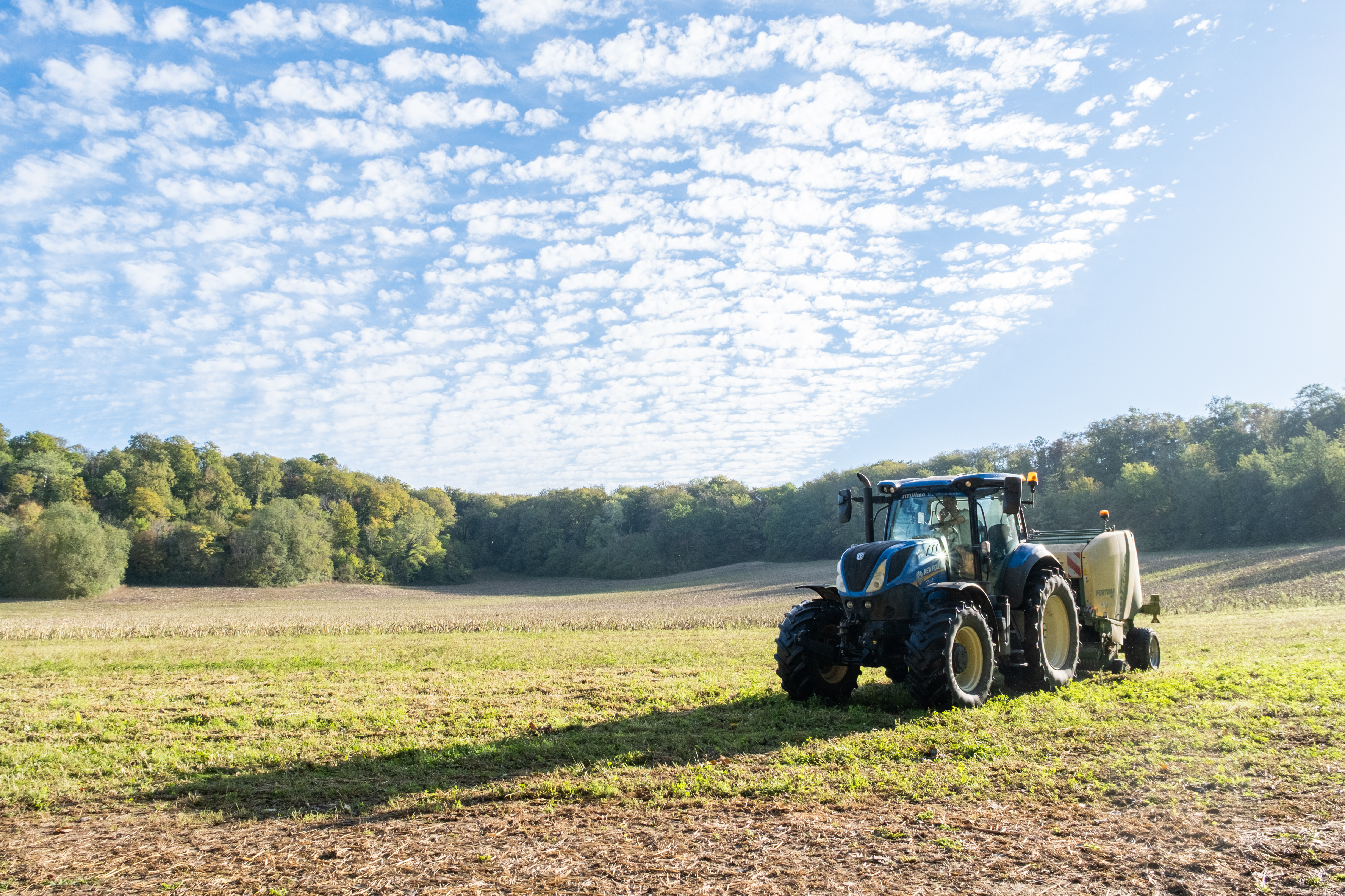 Oise : face à la sécheresses, les agriculteurs et maraîchers seront aidés
