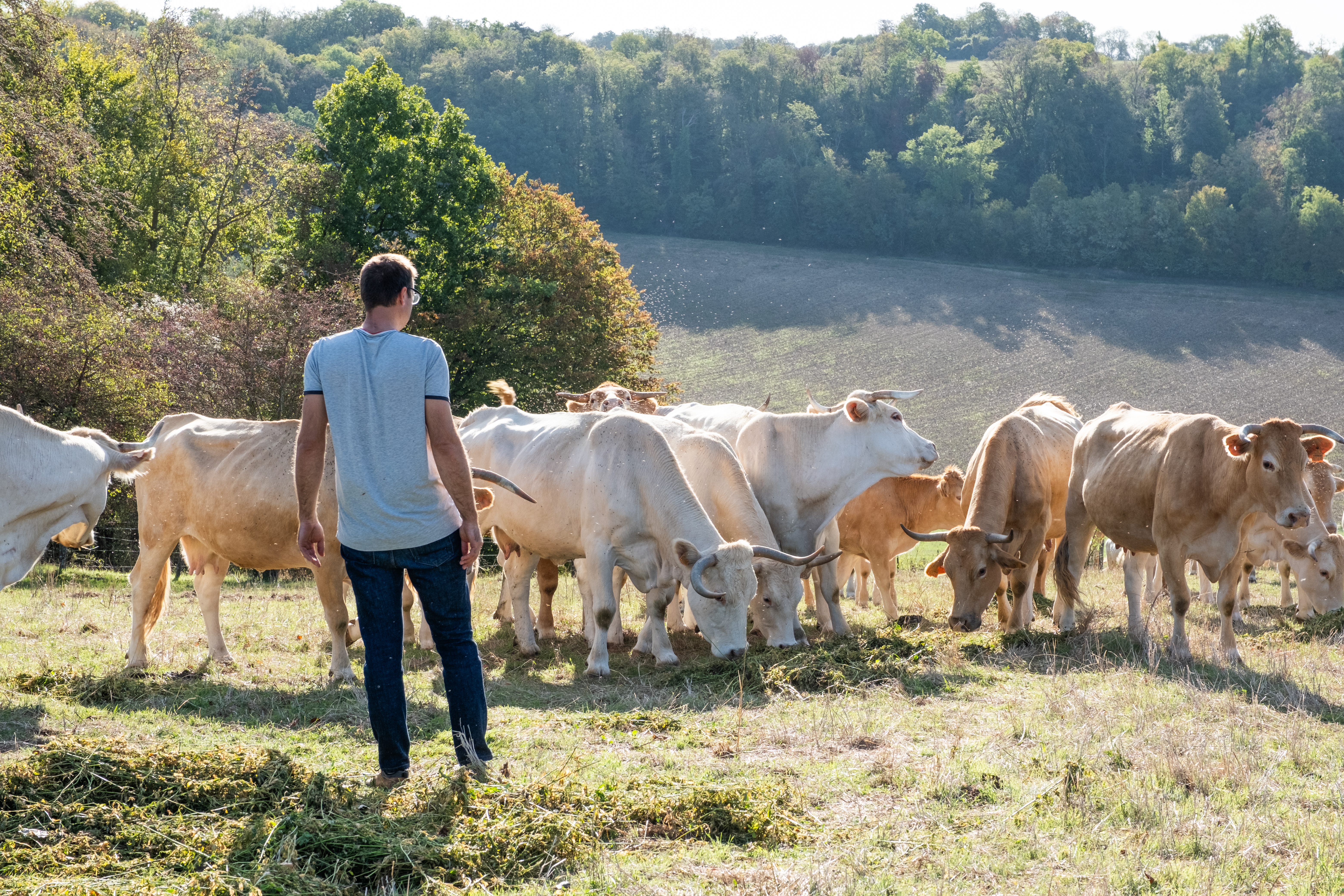 Sécheresse : un million d'euros du fonds de réarmement agricole dédié aux agriculteurs de l'Oise