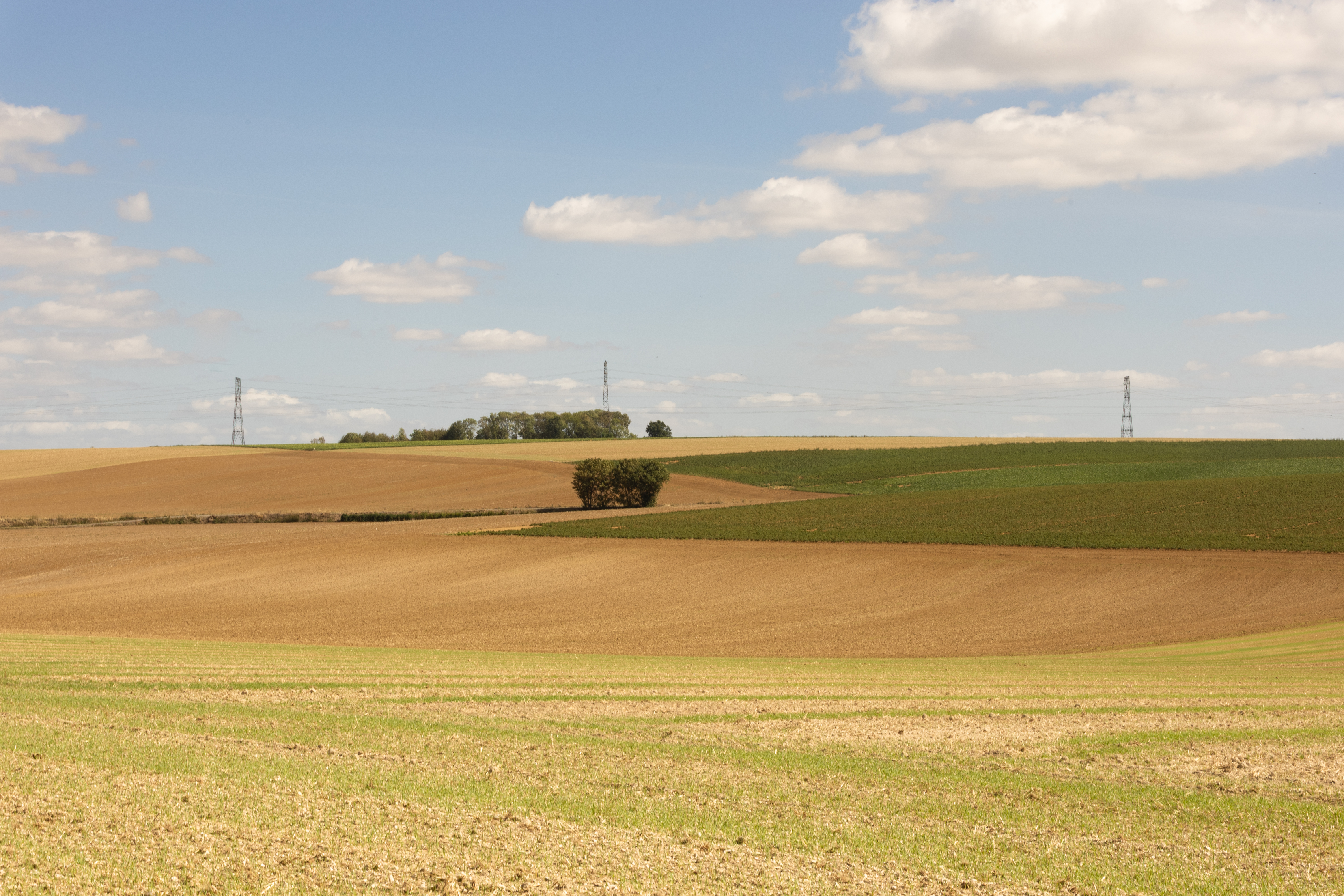 Aisne : 1,35 million d’euros pour aider les agriculteurs touchés par la sécheresse