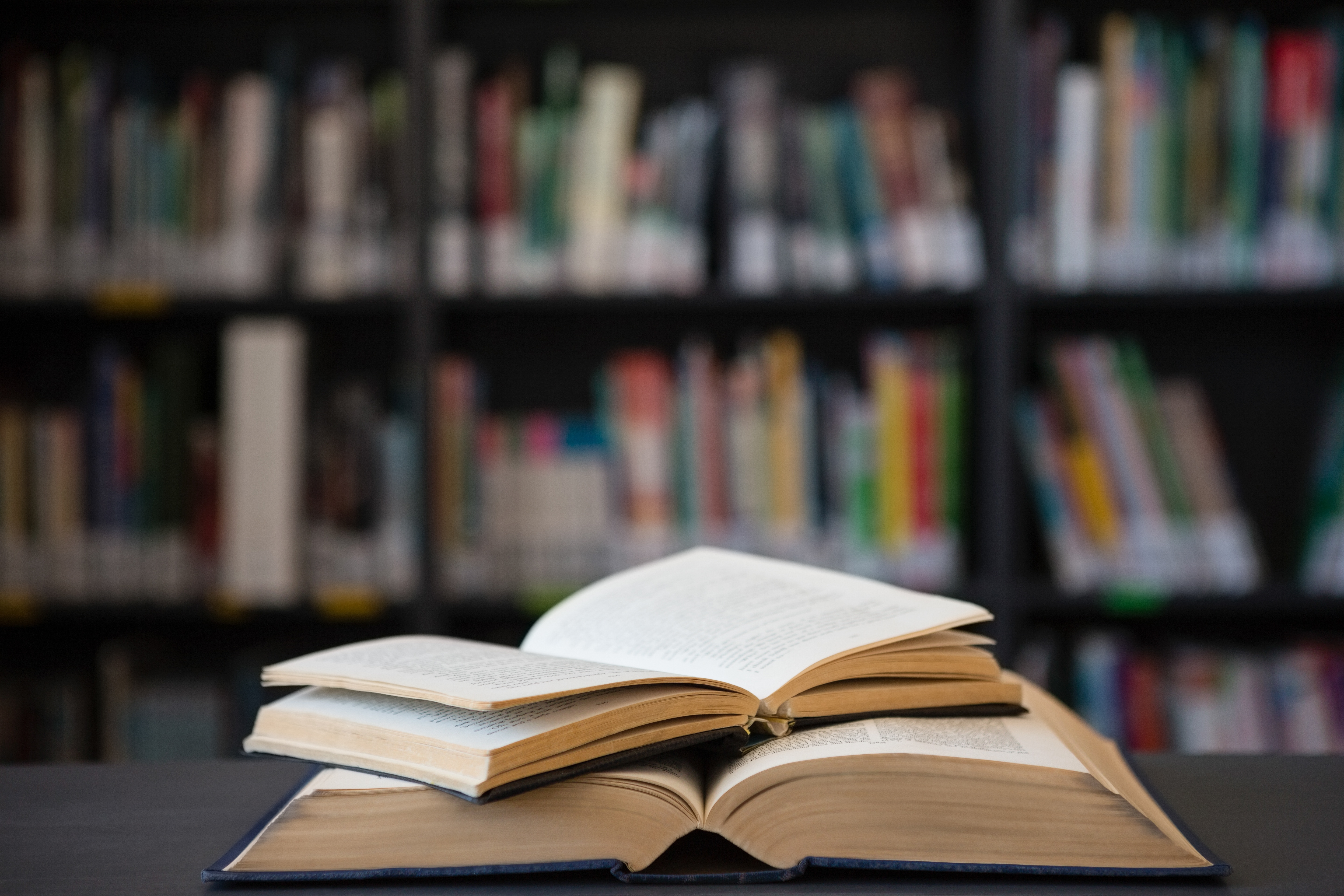 Coye-la-Forêt : Les Mots en l'Aire, le festival de la lecture fête ses 20 ans