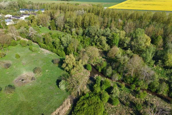 Zone humide remarquable : le marais d'Avilly est en pleine restauration