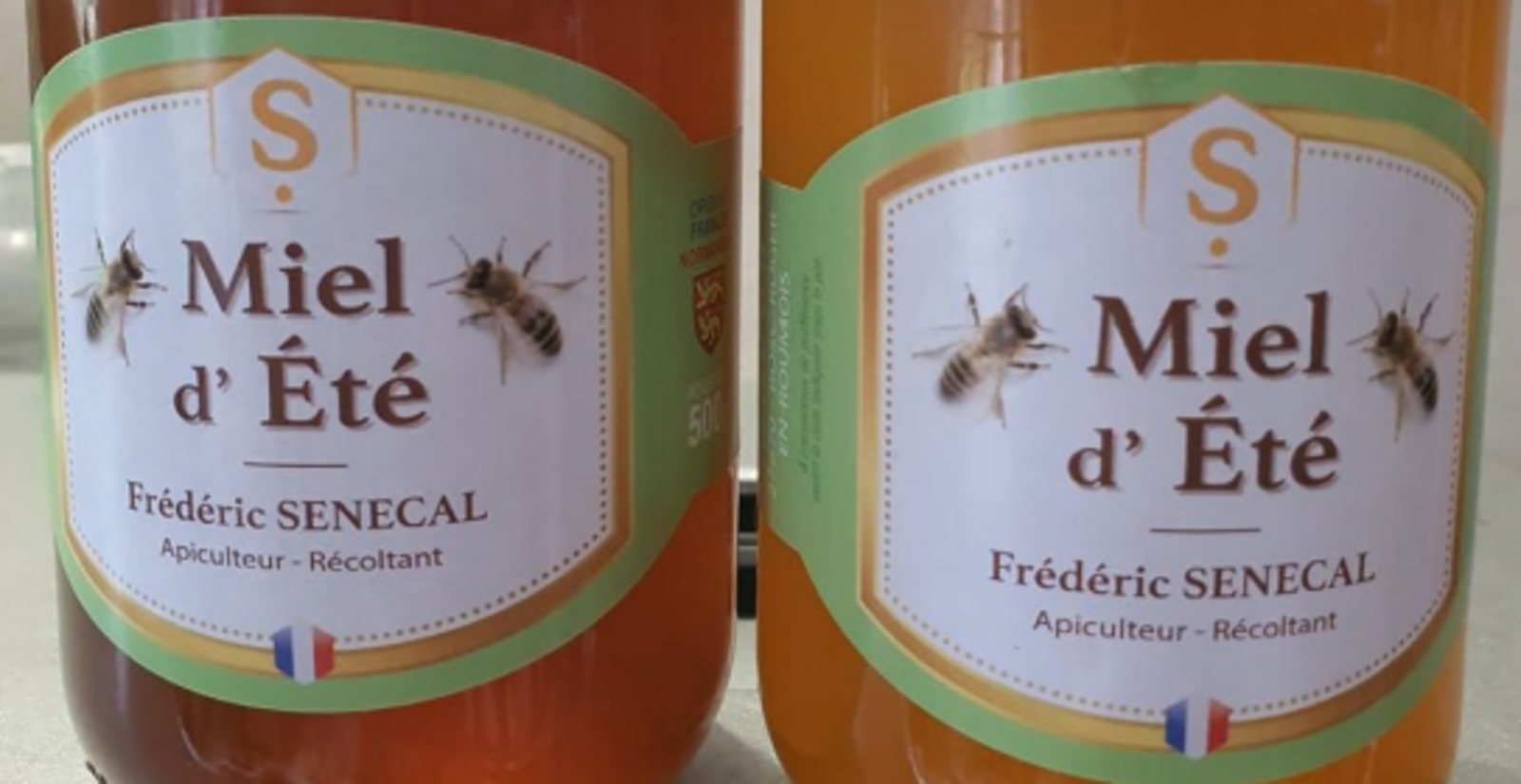 Normandie : plus de 300 rendez-vous pour découvrir l’apiculture