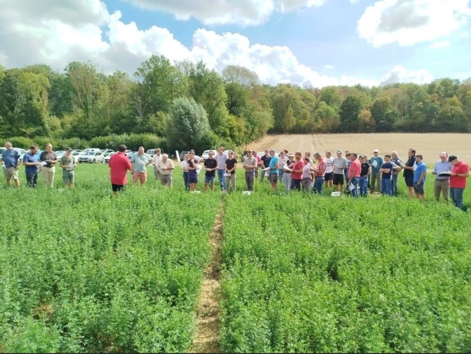 Aisne : 70 agriculteurs comparent les rendements du maïs et de la luzerne