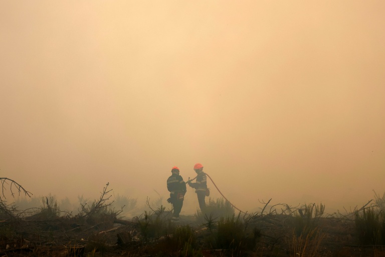 Les intoxications aux fumées de feux de forêt, angle mort de la protection des pompiers