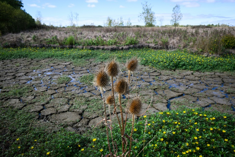 France: 66% des nappes phréatiques sous les normales, situation 