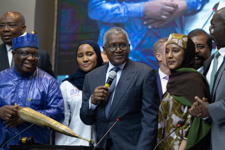 Dangote, l'homme le plus riche d'Afrique ou le capitalisme industriel tambour battant