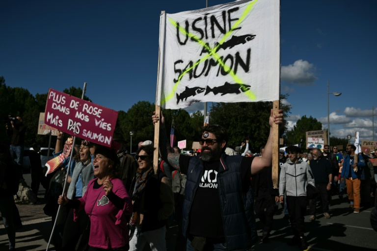Au Verdon, la mégaferme terrestre à saumons c'est 