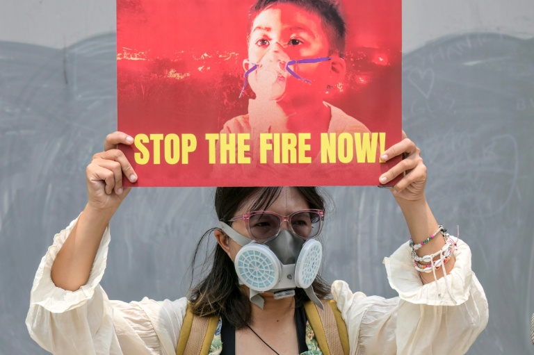 Après des mois d'incendies en Indonésie, les entreprises dans le viseur