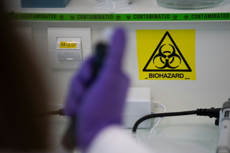 Virus Shamonda: première détection chez un humain, en France, pas de risque sanitaire global identifié