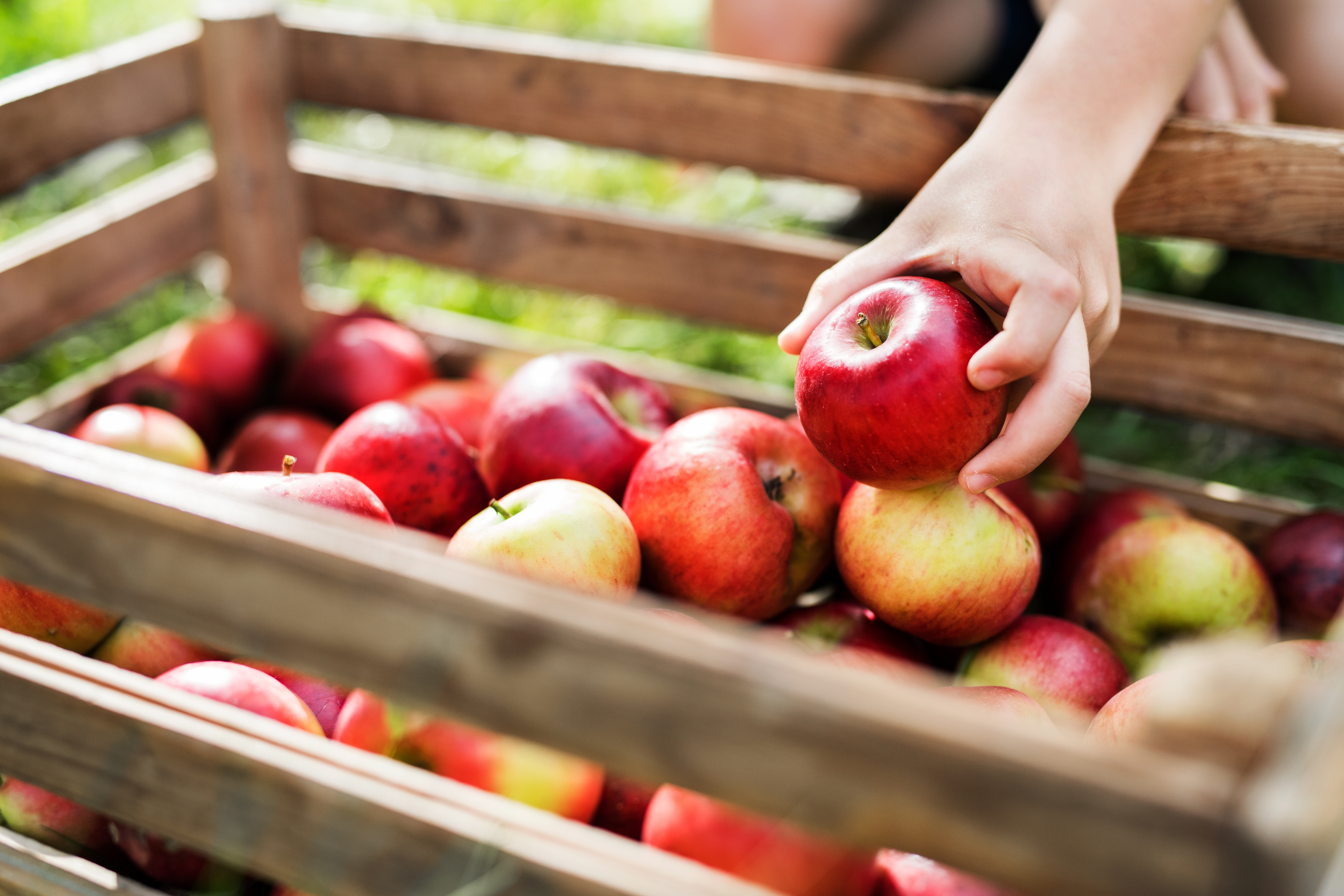 Sampigny : un nouveau marché d’automne arrive au musée Poincaré