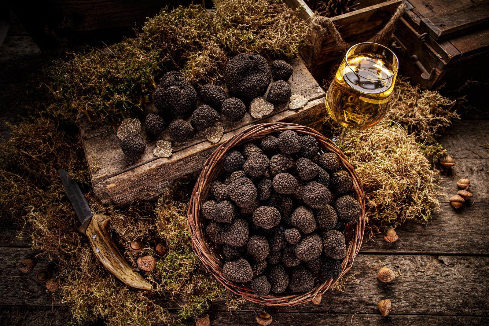 Meuse : la saison de la truffe s’annonce incertaine