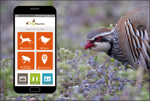 Une application mobilise les habitants de Saône-et-Loire pour suivre la faune