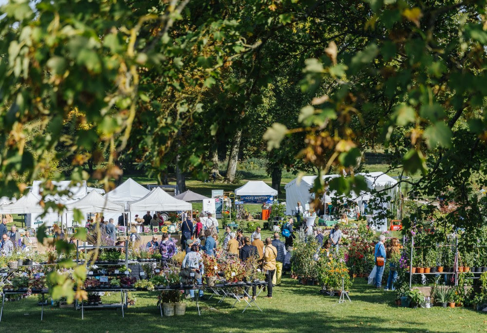 Journées des Plantes de Chantilly : la 22e édition fait sensation