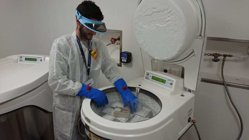 Lymphobank cultive, isole et congèle les cellules qui serviront à la recherche, notamment, pour le traitement du cancer. (@ Lymphobank)