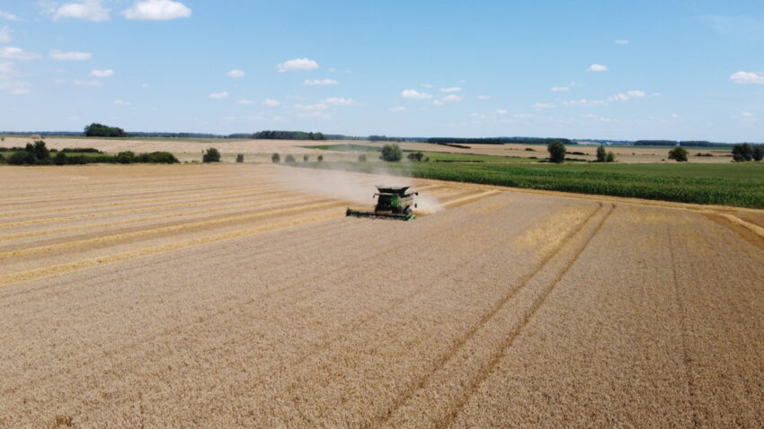 (c) Dijon Céréales.