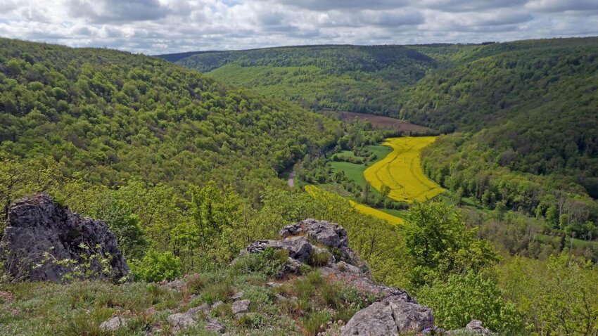  (c) Marléne TRECA-ONF