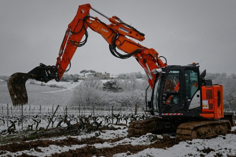 Une pelle arrache des vignes à Haux, à environ 25 km au sud-est de Bordeaux, le 18 janvier 2023 © ROMAIN PERROCHEAU