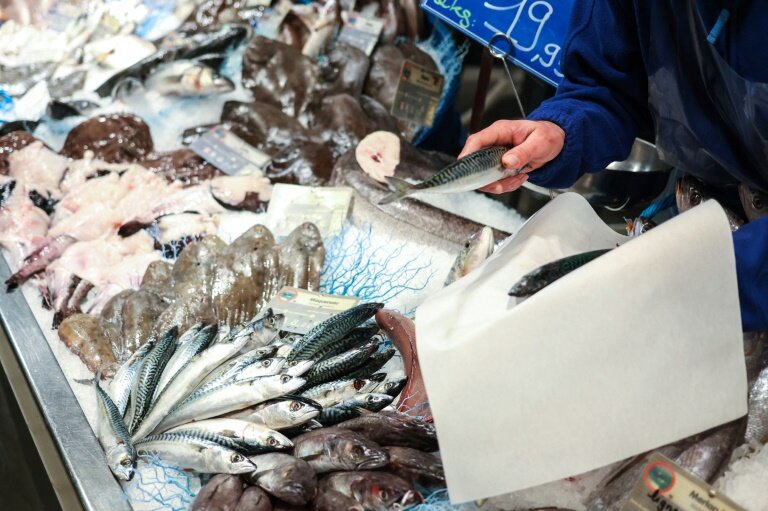 Le label MSC, pour "Marine Stewardship Council", ne garantit pas l'exclusion de pratiques néfastes pour la biodiversité marine © CHARLY TRIBALLEAU